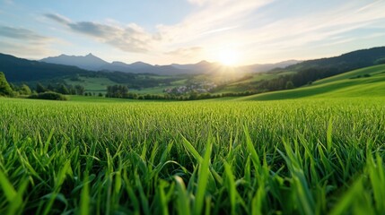 Serene sunrise over lush green meadow in idyllic countryside landscape