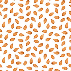 Watercolor seamless pattern: peeled almond kernels nuts on white. Element for design menu café, coffee house, bakery, flyer, wrapping, interior decor, wallpaper, textile