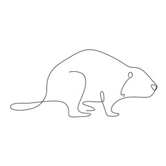 line art animal