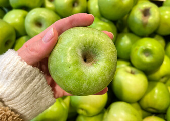 Hand holding  Green Apples Granny Smith 