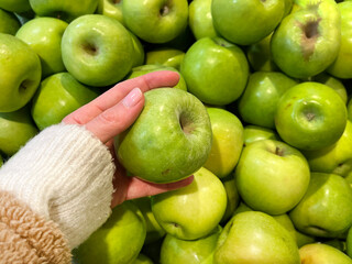 Hand holding  Green Apples Granny Smith 