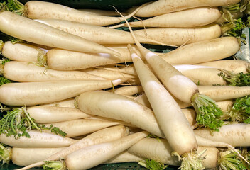White Daikon fruit in supermarket. Long white turnip