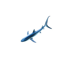 Graceful shark swimming in clear ocean waters with vibrant colors