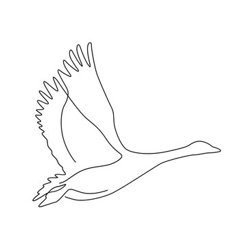 recommend clip art: duck line art logo one line