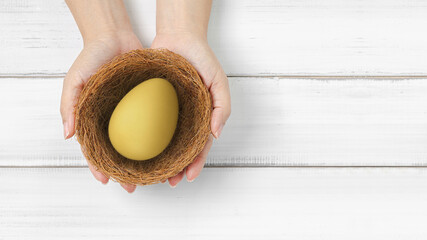Golden Egg in a Nest Held by Hands Representing Investment and Financial Security