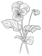 Full Violet Flower With Stem Hand Drawn Outline And Shapes Coloring Page