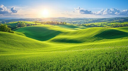 Naklejka premium Rolling hills of green fields at sunset