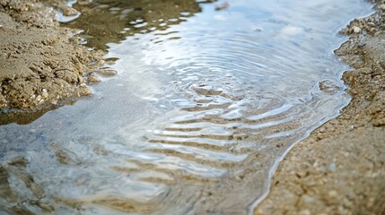 Obraz premium Ripples on the shore: Capturing the delicate dance of water and earth, showcasing the intricate patterns of ripples as they gently caress the sandy shore
