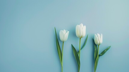 Obraz premium Flower Background of Passover: How Flowers Adorn the Traditional and Poetic Atmosphere of Passover