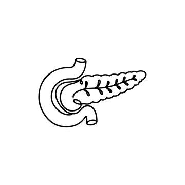 Pancreas Icon &ndash; Curved Digestive Organ Contour Representing Human Anatomy and Digestive Health