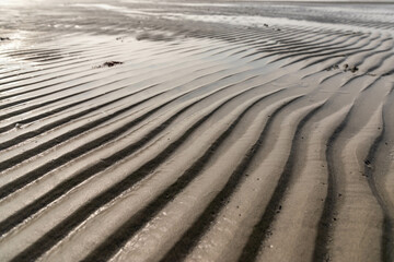 lines in the sand