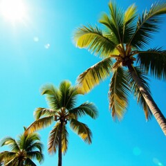 Sun-drenched coconut palms sway gently against a vibrant blue sky , idyllic, exotic, sunlight