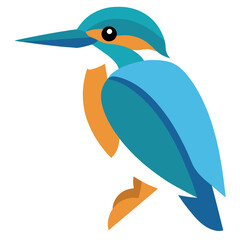 vector illustration of a bird