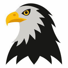 Fototapeta premium american eagle cartoon