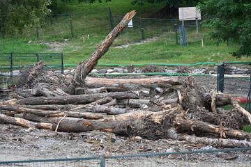 Background, wooden background and old fence