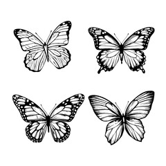 Stylized Butterfly Art: Monochrome Design