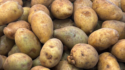 Freshly Harvested Potatoes Piled Together at a Local Market in the Afternoon Light