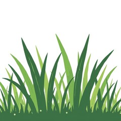 Naklejka premium Fresh Green Grass Blades with Dew Drops, Minimalist Flat Color Illustration, Suitable for Copy Space, Studio Lighting, Natural and Clean Design