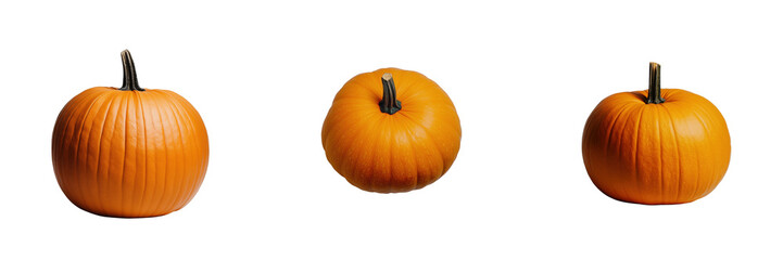 Fresh pumpkins farm market on transparent background