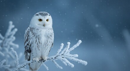 Majestic snowy owl perched serenely on a frosty branch winter wonderland soft light. AI Generated