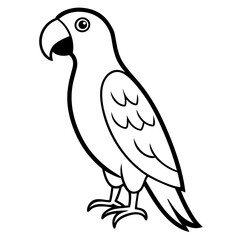 Fototapeta premium Colorful parrot vector illustration—perfect for digital designs, prints, and branding projects.