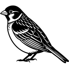 Obraz premium Download a high-quality sparrow vector illustration, perfect for logos, prints, and digital designs.