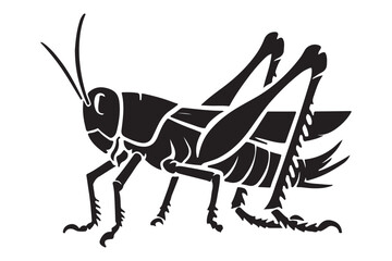Detailed Grasshopper Vector Illustration Insect Biology Anatomy Silhouette Design