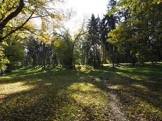 Fototapeta premium Autumn Park with Sunlit Path, Sunny Day