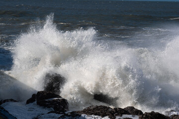 A large wave crashes against a rock on the ocean shore. Spray and foam fly off as if from an explosion