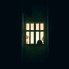 A moody window frame of an older style atchitecturally simple building where light is shining through at night, the background is dark and black, household objects are visible through the glass