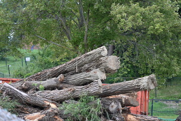 Fototapeta premium Background, wooden background and old fence