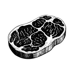 Raw meat sketch engraving black and white outline. Scratch board imitation.  illustrated in vintage line art style on a white background.
