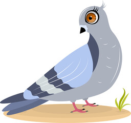 Cute zoo. Vector birds. A cute dove stands on the sand. Vector animals collection. Children's flat vector illustrations.