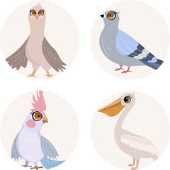 Cute zoo. Vector birds. Set of parrot, dove and pelican. Vector animals collection. Children's flat vector illustrations.