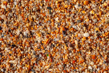 Beautiful texture of coarse beach sand. Beach-themed background image. Wet beach sand of large...
