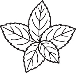 mint leaves line art, black outline, vector and illustration, coloring book page line art drawing