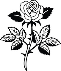 vector rose flower