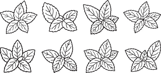 set of mint leaves line art, black outline, vector and illustration, coloring book page line art drawing © 69creativedesigner