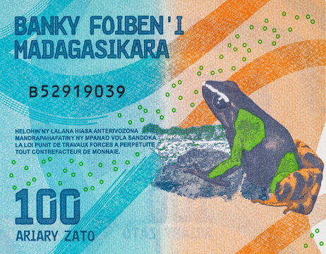 100 Ariary Madagascar, a fragment of the banknote with the image of the Mantella baroni frog. Money of Madagascar.