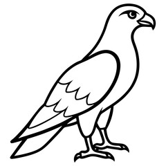 Obraz premium High-quality hawk vector illustration, perfect for logos, designs, and digital projects.