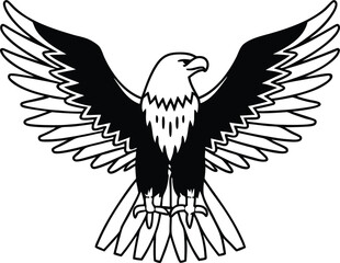 eagle vector illustration