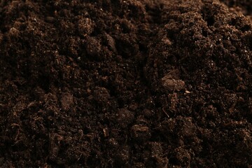 Texture of fresh soil as background, closeup