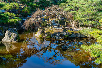 Pond Trees Reflection 3
