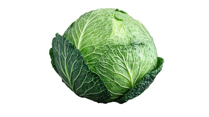 Fototapeta premium A whole cabbage isolated on transparent background