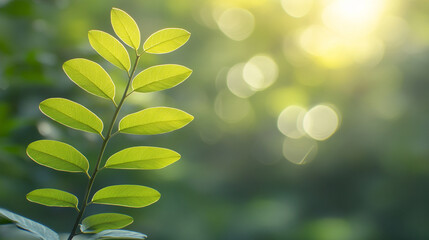 A leafy green plant with a yellowish tint symbolizes growth renewal and vitality The modern aesthetic represents contemporary sustainability and eco-conscious living Lush foliage evokes harmony and ba