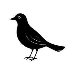 bird on a branch silhouette vector illustration  