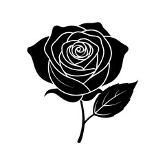 black rose isolated on white, rose silhouette vector illustration 