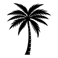 silhouette of palm tree