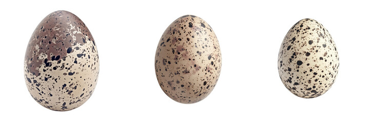 Examining unique speckled eggs close-up photography in natural settings