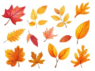 Obraz premium Autumn leaves collection, fall foliage, white background, seasonal design